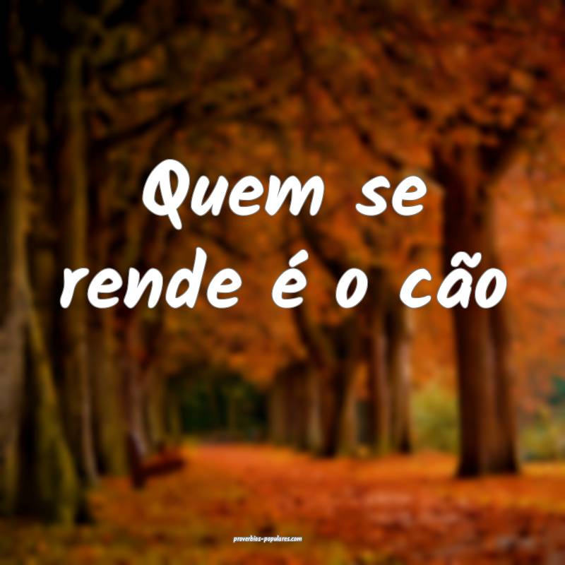 Quem se rende é o cão ...