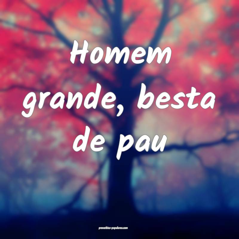 Homem grande, besta de pau...