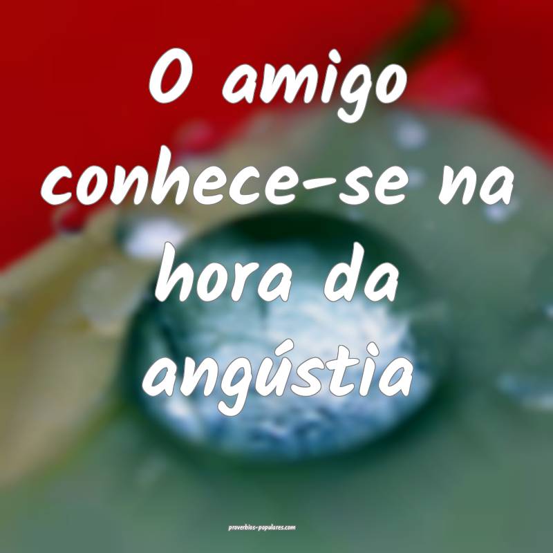 O amigo conhece-se na hora da angústia ...