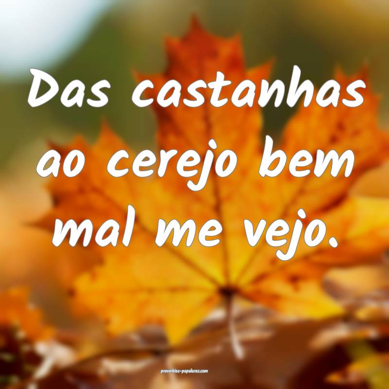 Das castanhas ao cerejo bem mal me vejo....