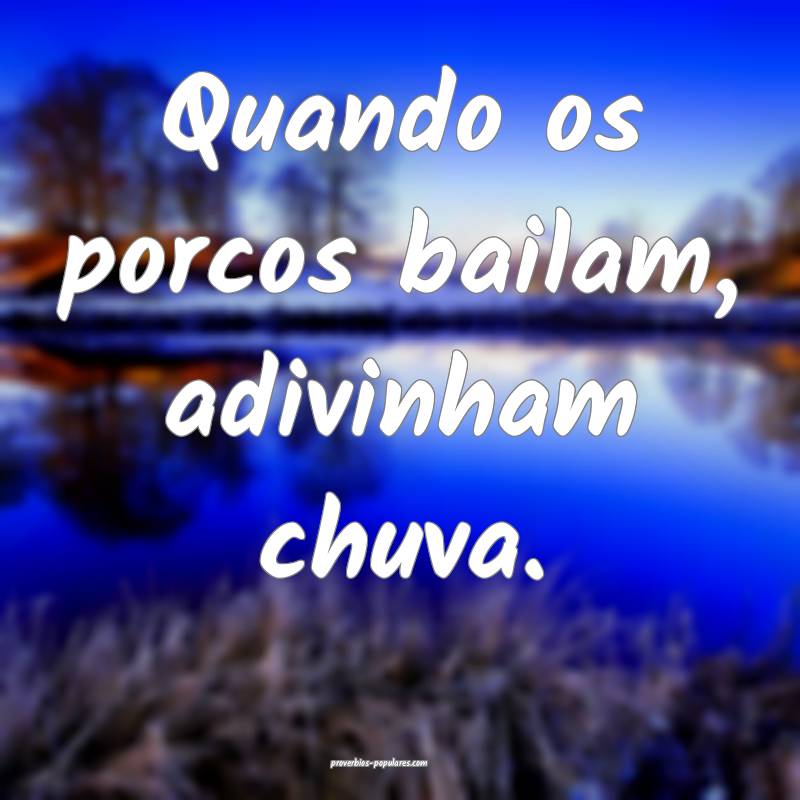 Quando os porcos bailam, adivinham chuva.
 ...