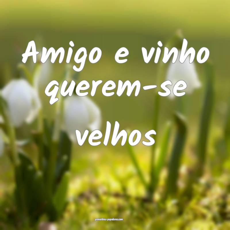 Amigo e vinho querem-se velhos...