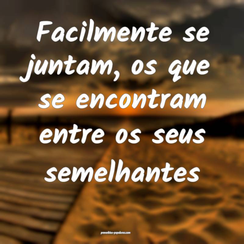 Facilmente se juntam, os que se encontram entre os seus semelhantes...