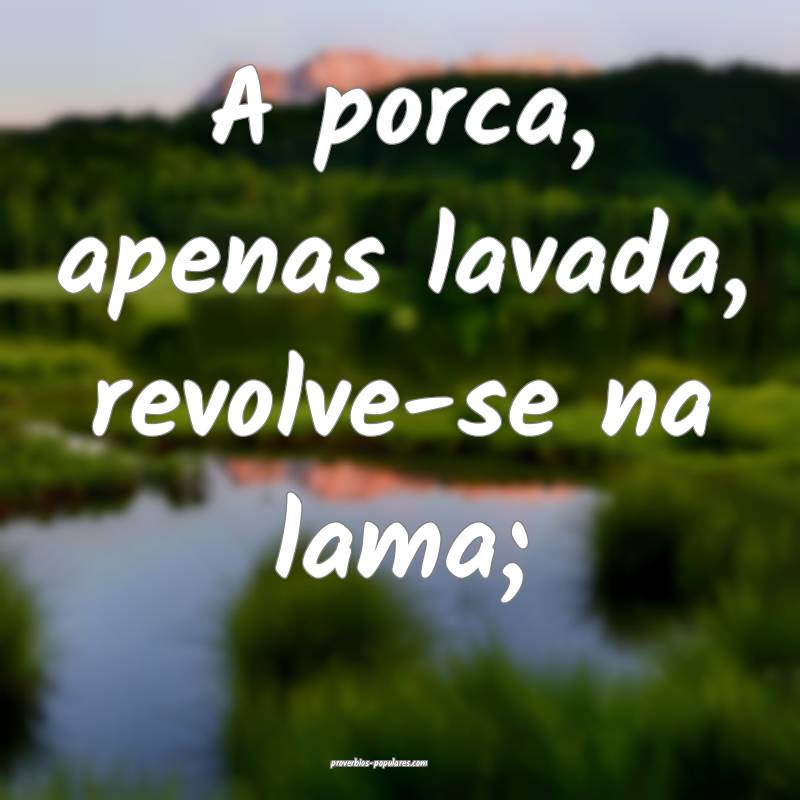 A porca, apenas lavada, revolve-se na lama; ...