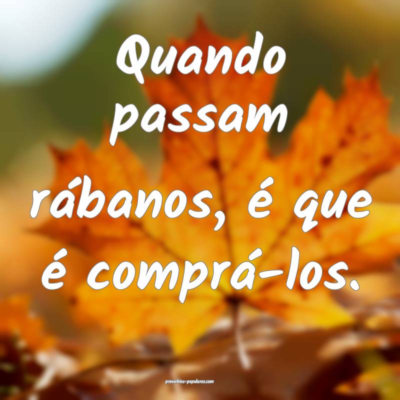 Quando passam rábanos, é que é comprá-los.
...