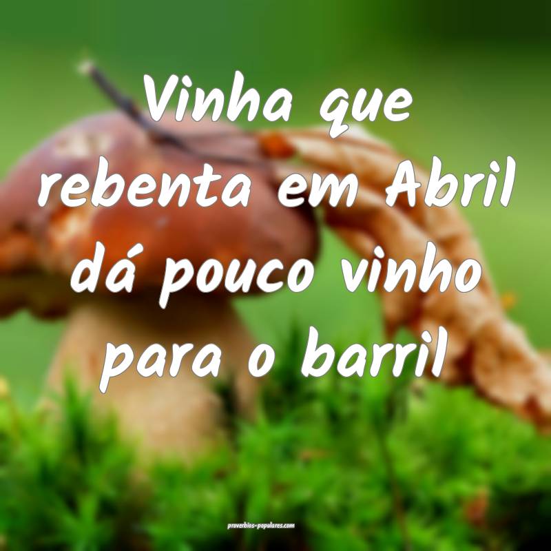 Vinha que rebenta em Abril dá pouco vinho para o barril...
