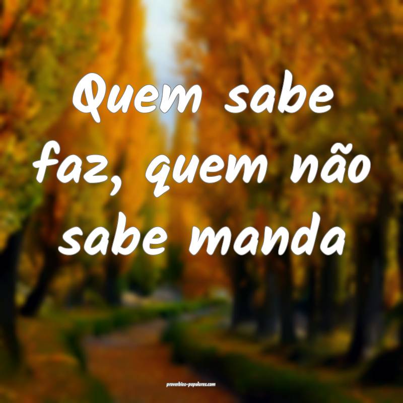Quem sabe faz, quem não sabe manda ...