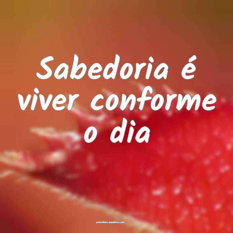 Sabedoria é viver conforme o dia ...