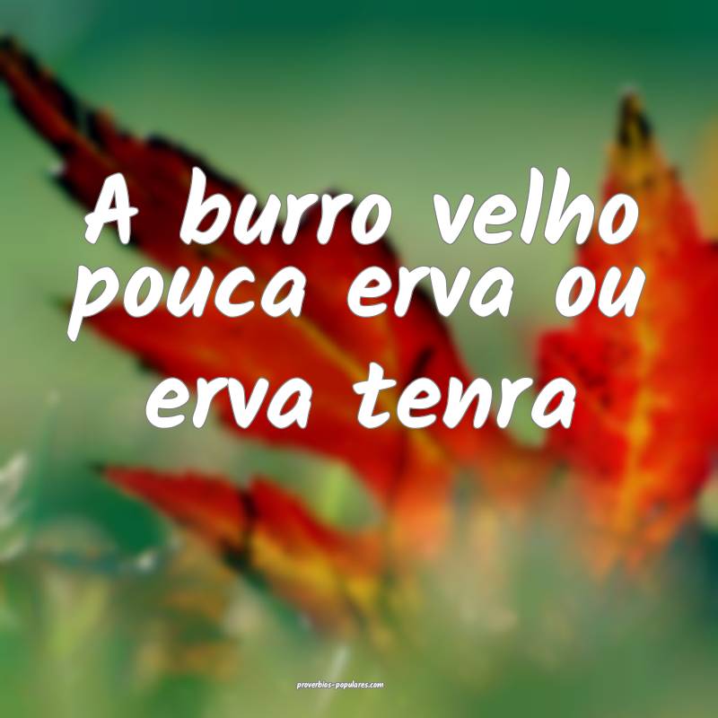 A burro velho pouca erva ou erva tenra...