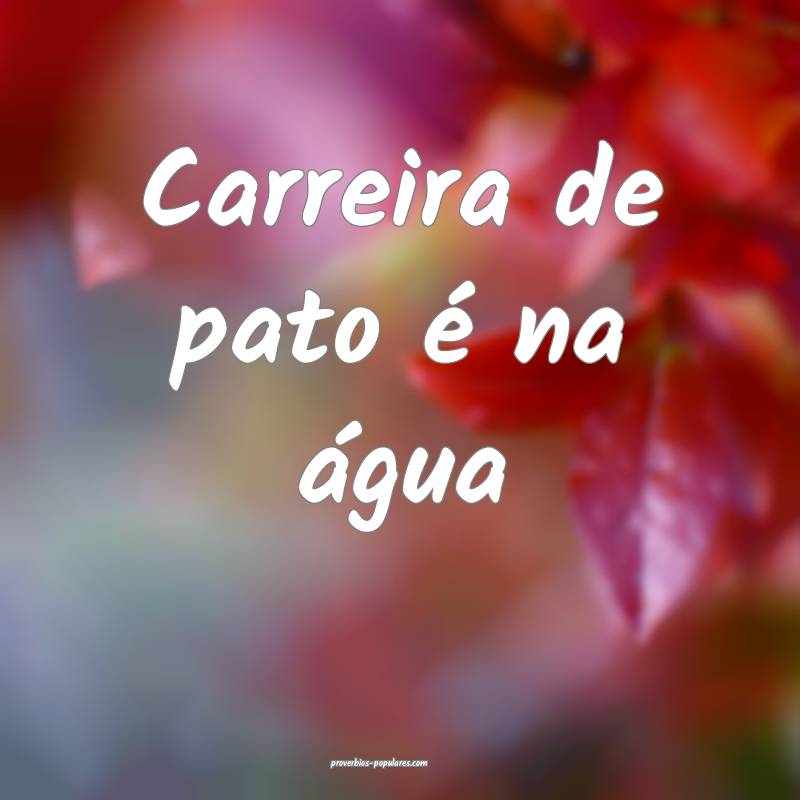 Carreira de pato é na água...