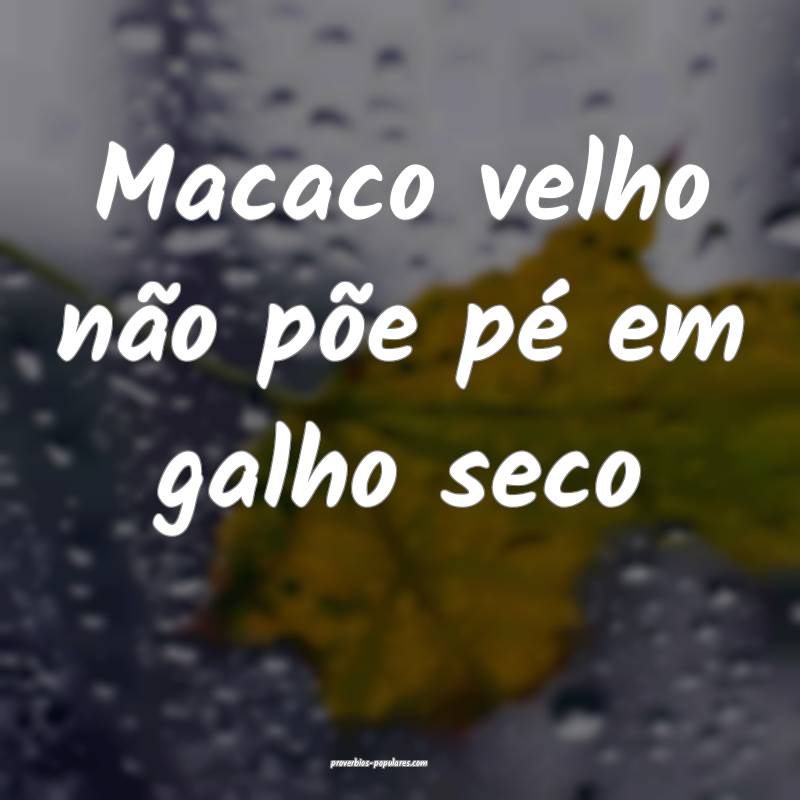Macaco velho não põe pé em galho seco...