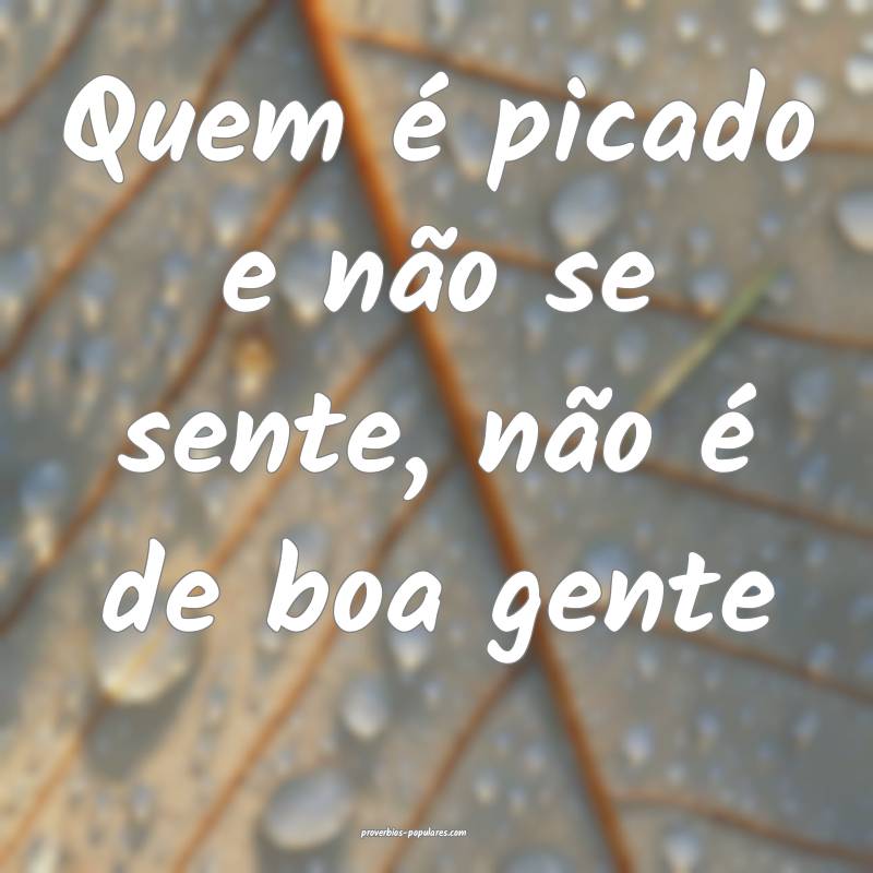 Quem é picado e não se sente, não é de boa gente...