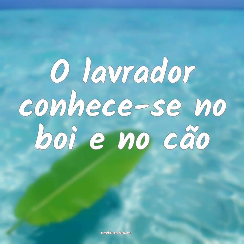 O lavrador conhece-se no boi e no cão ...