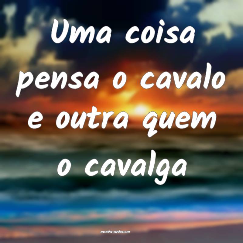 Uma coisa pensa o cavalo e outra quem o cavalga...