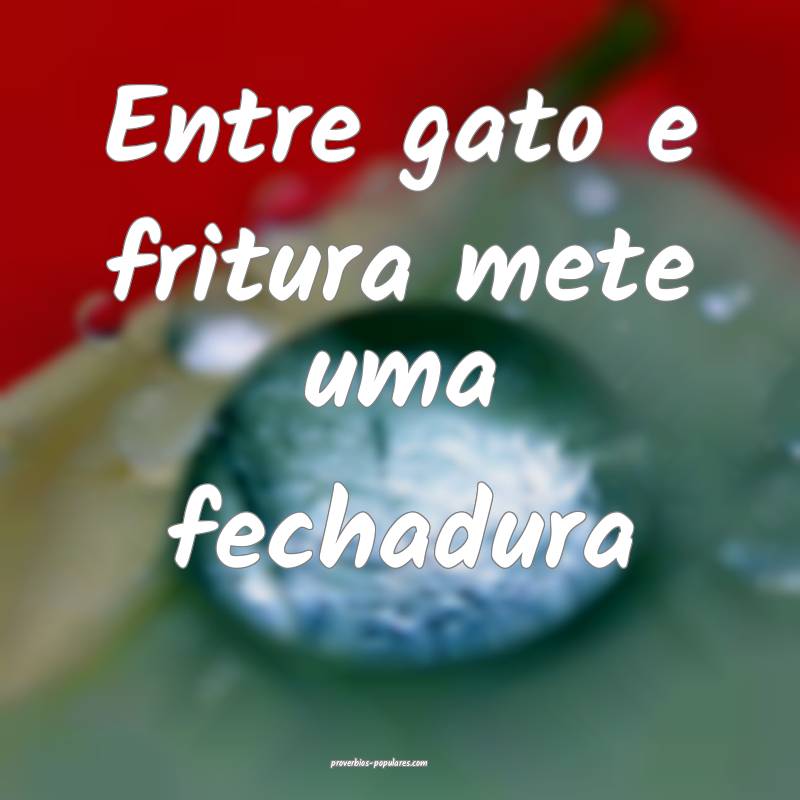 Entre gato e fritura mete uma fechadura ...