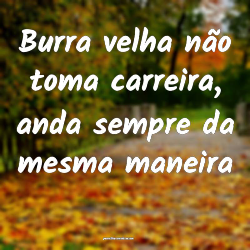 Burra velha não toma carreira, anda sempre da mes ...