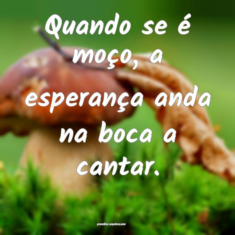 Quando se é moço, a esperança anda na boca a cantar.
...