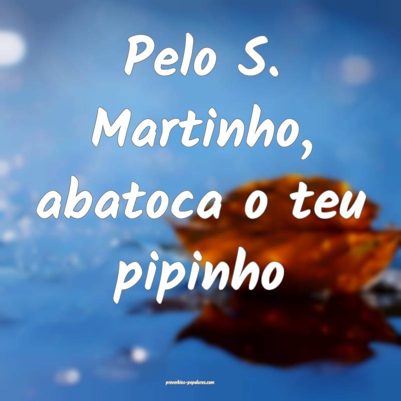 Pelo S. Martinho, abatoca o teu pipinho...