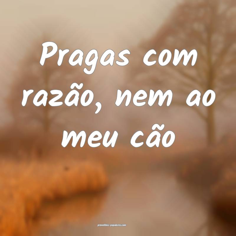 Pragas com razão, nem ao meu cão ...