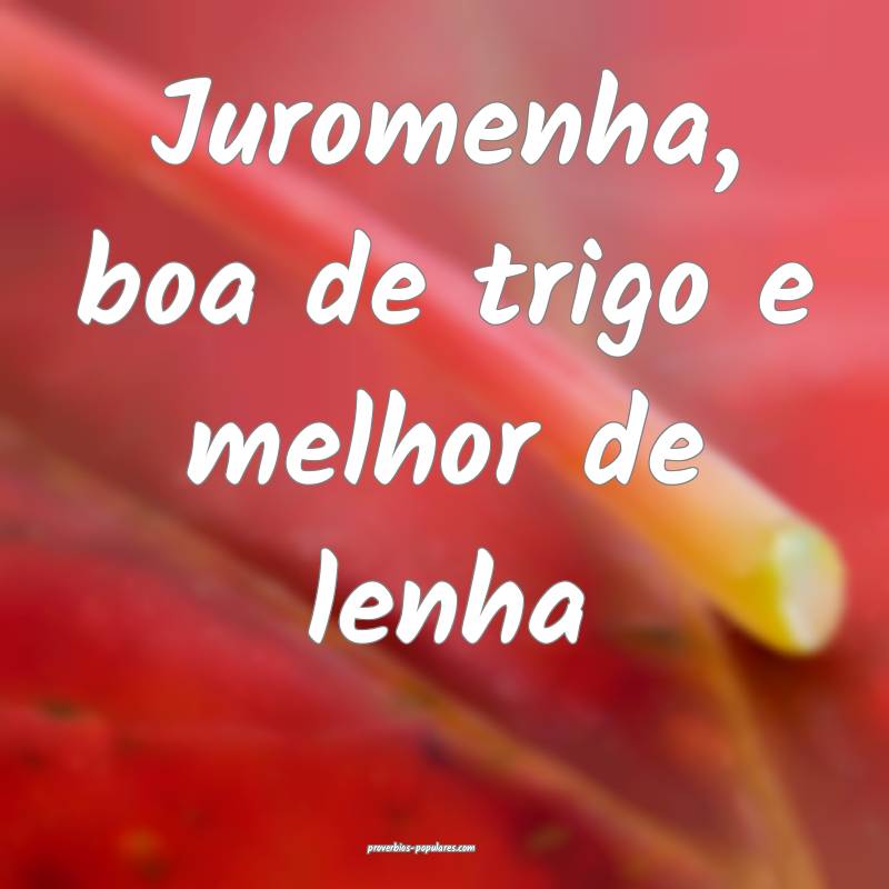 Juromenha, boa de trigo e melhor de lenha ...