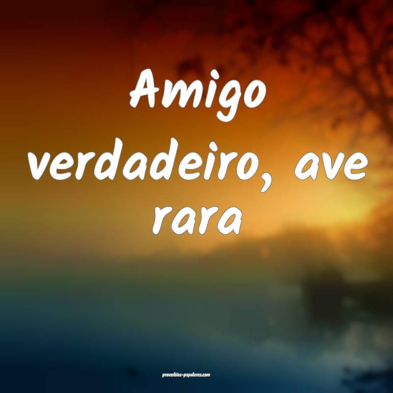 Amigo verdadeiro, ave rara...