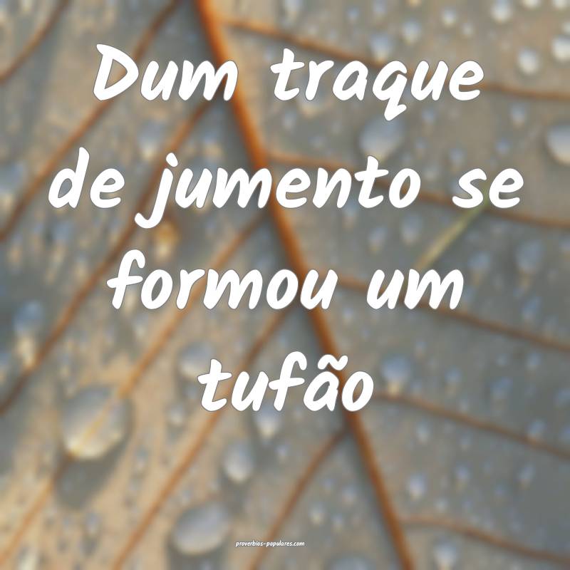 Dum traque de jumento se formou um tufão...