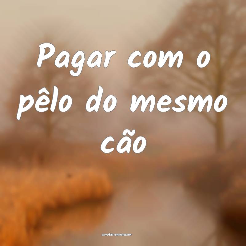 Pagar com o pêlo do mesmo cão ...