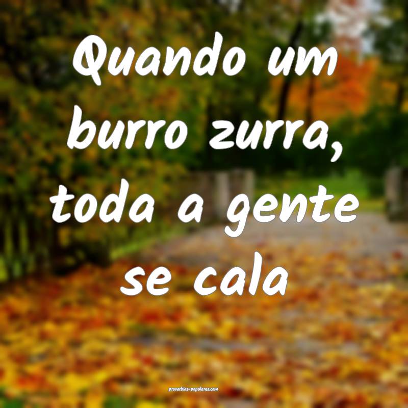 Quando um burro zurra, toda a gente se cala...