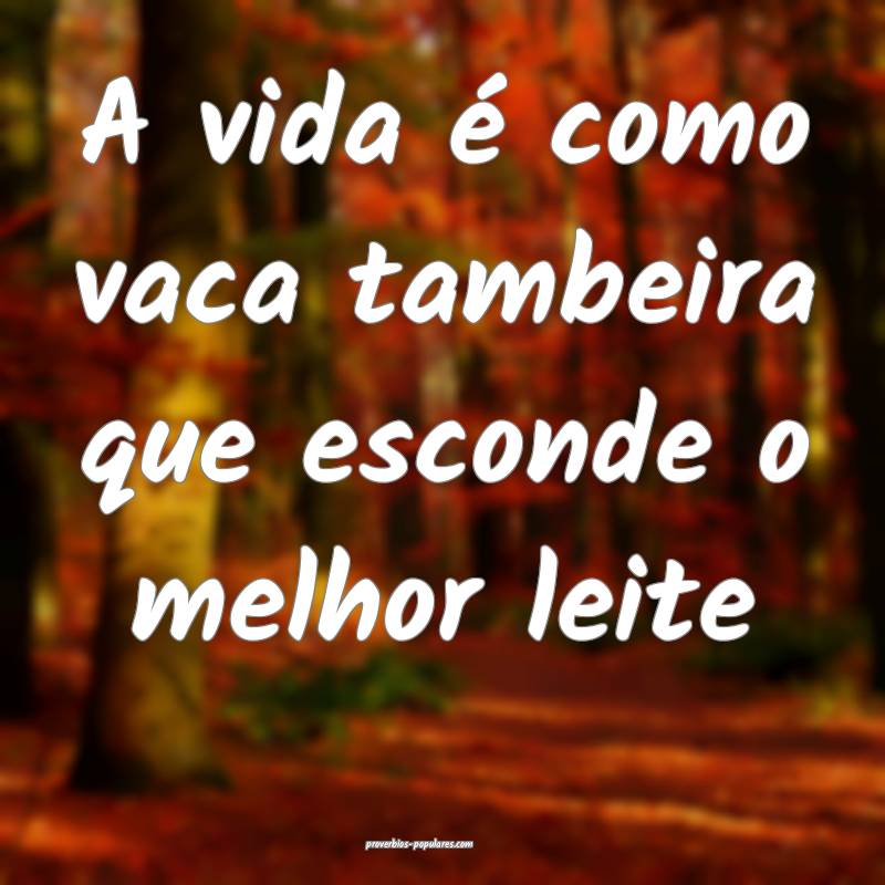 A vida é como vaca tambeira que esconde o melhor leite...