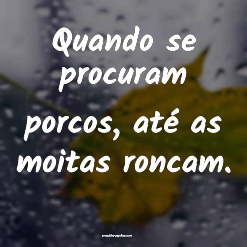 Quando se procuram porcos, até as moitas roncam.
...