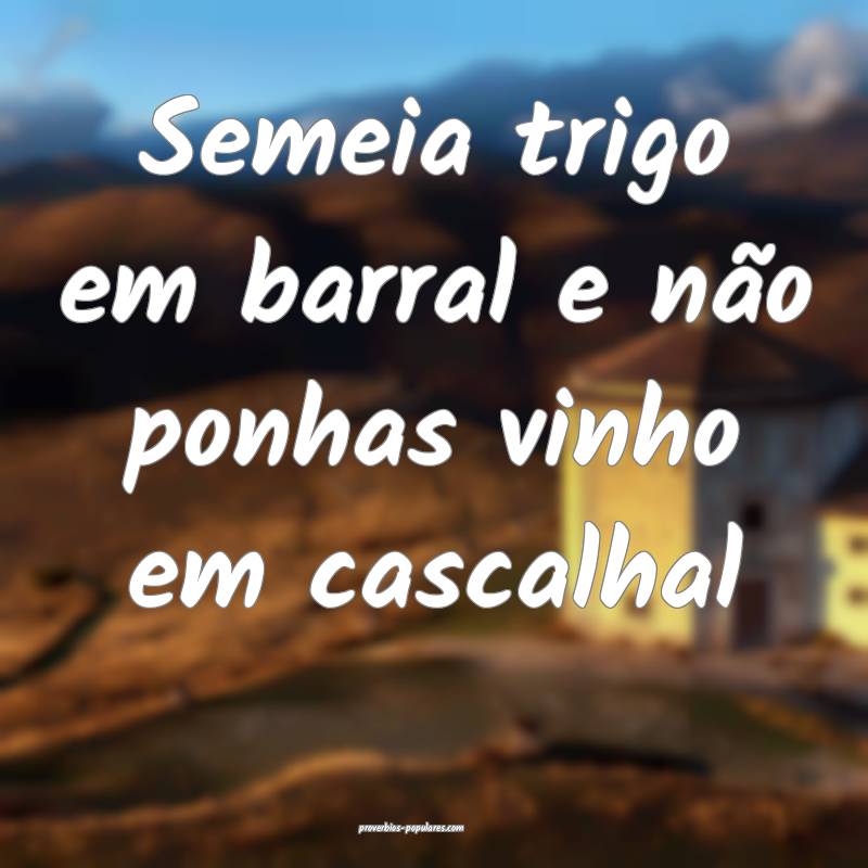 Semeia trigo em barral e não ponhas vinho em cascalhal...