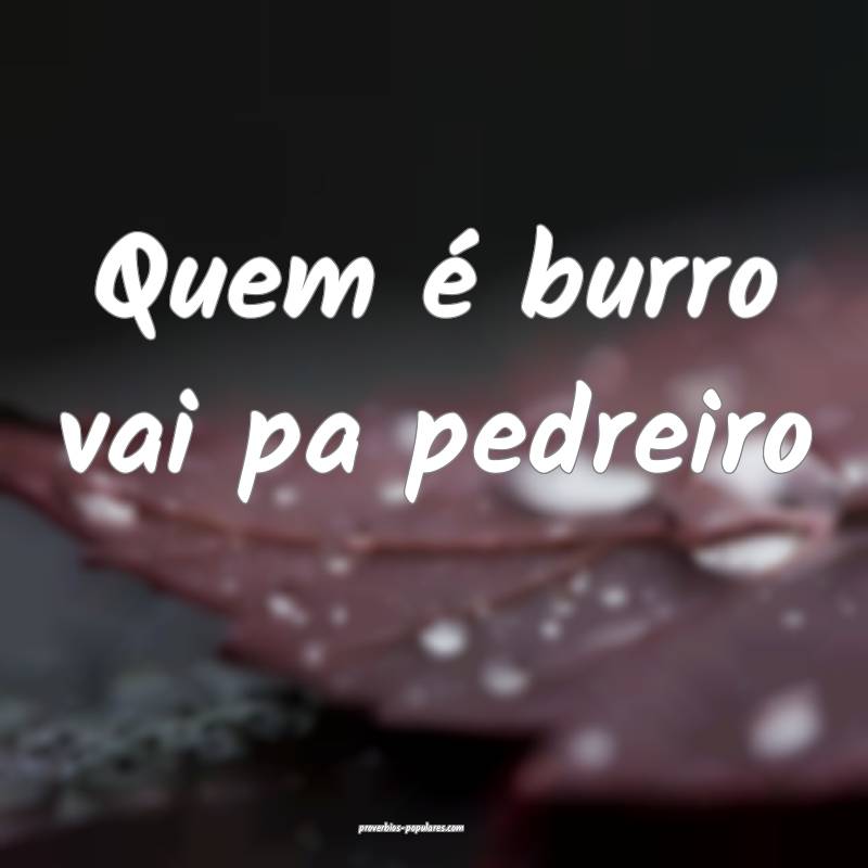 Quem é burro vai pa pedreiro ...