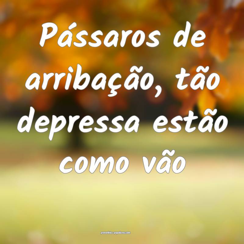 Pássaros de arribação, tão depressa estão com ...