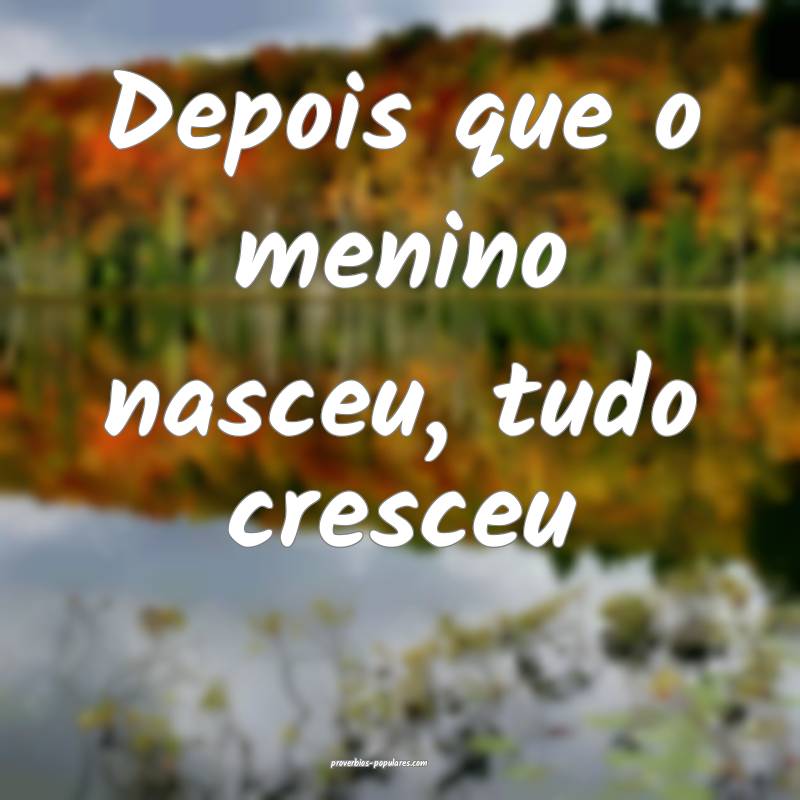 Depois que o menino nasceu, tudo cresceu...