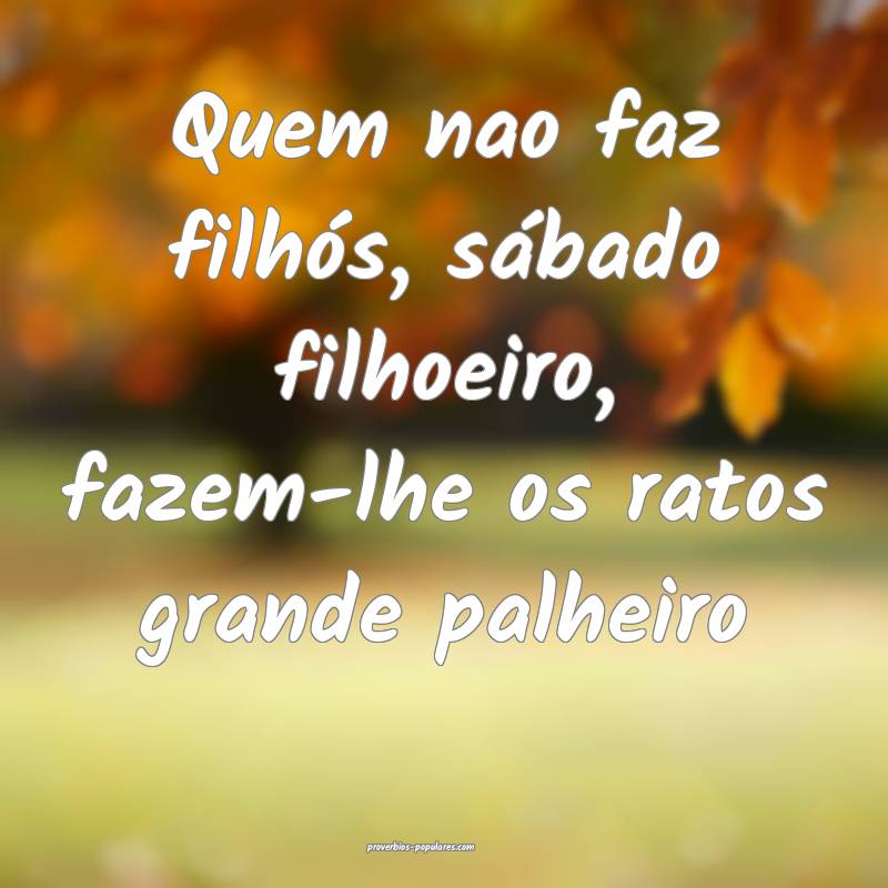 Quem nao faz filhós, sábado filhoeiro, fazem-lhe os ratos grande pal...