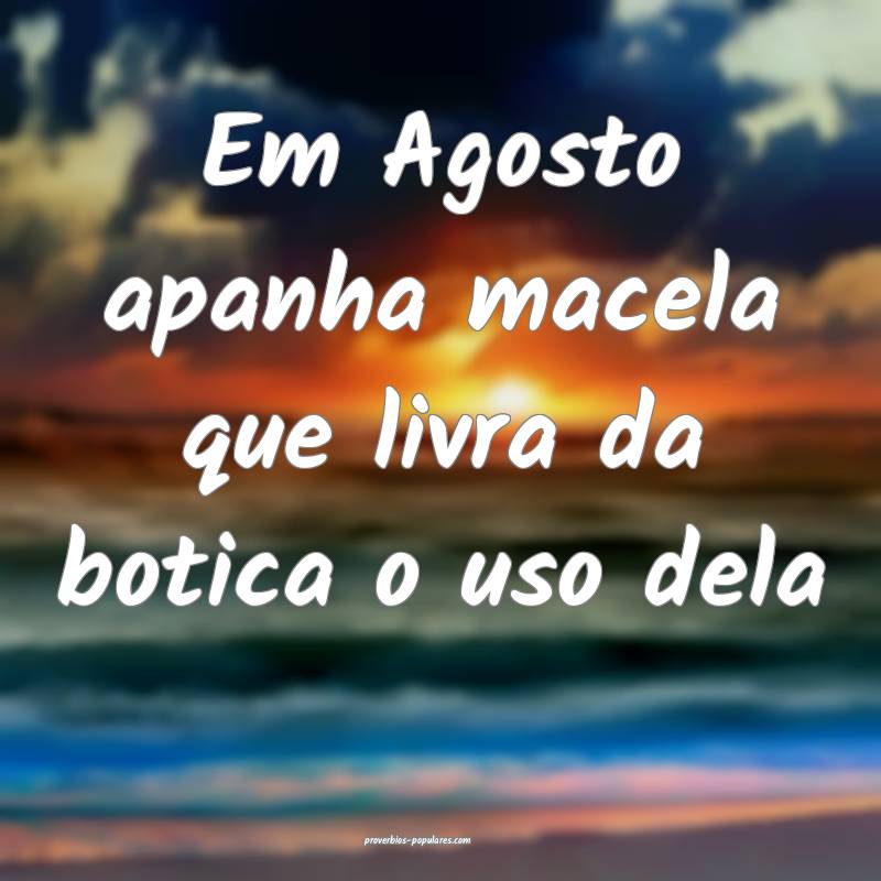 Em Agosto apanha macela que livra da botica o uso dela...