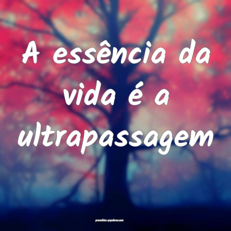A essência da vida é a ultrapassagem ...