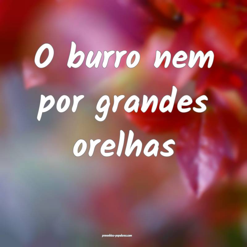 O burro nem por grandes orelhas...