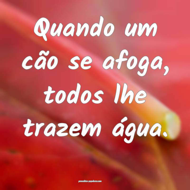 Quando um cão se afoga, todos lhe trazem água.
...