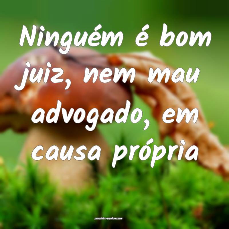 Ninguém é bom juiz, nem mau advogado, em causa própria...