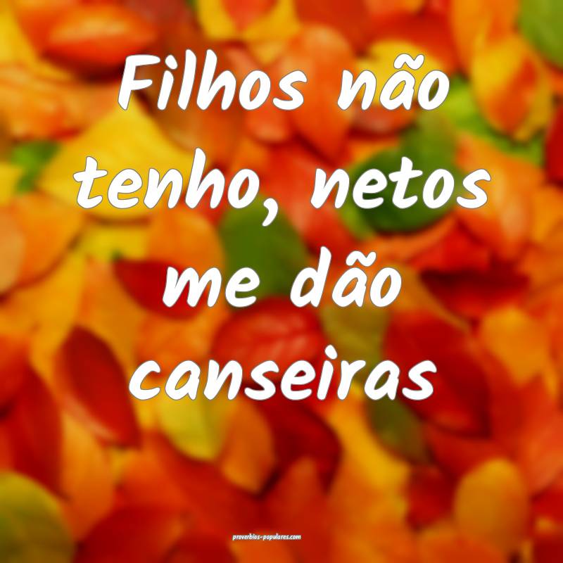 Filhos não tenho, netos me dão canseiras ...