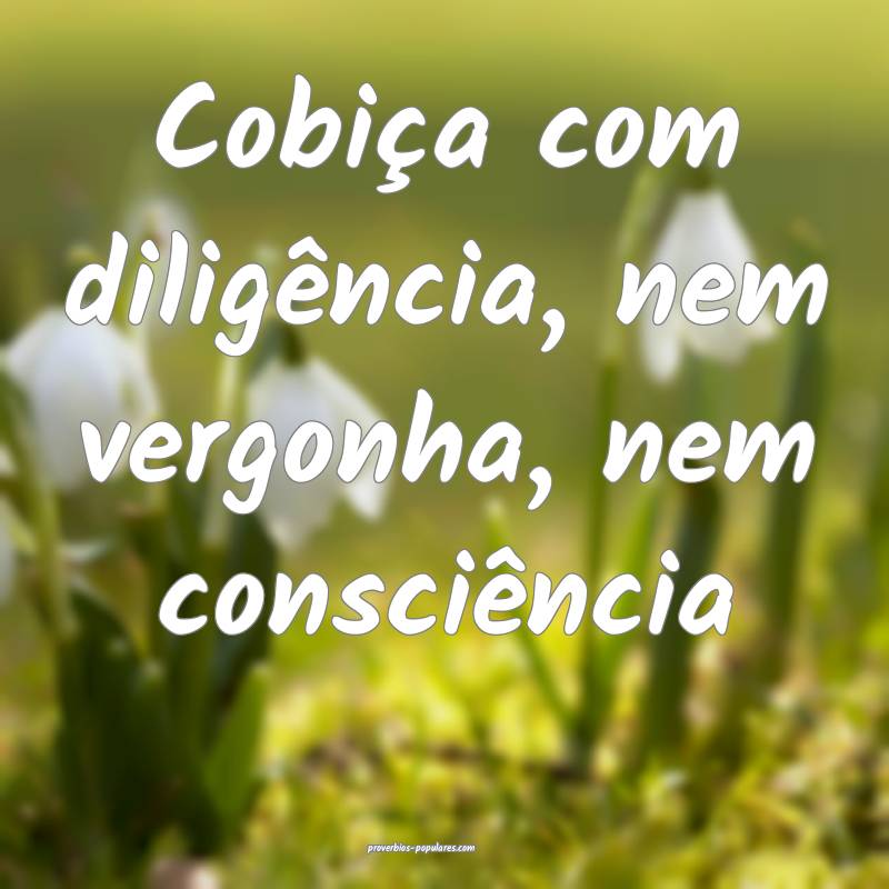 Cobiça com diligência, nem vergonha, nem consciência...