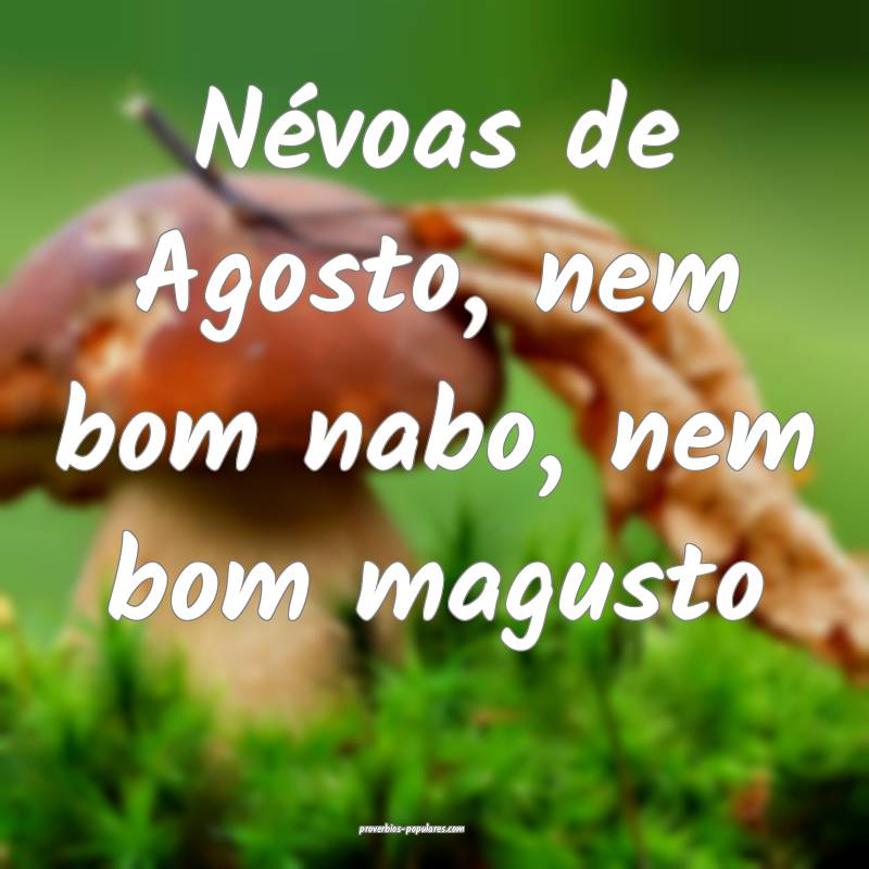 Névoas de Agosto, nem bom nabo, nem bom magusto...