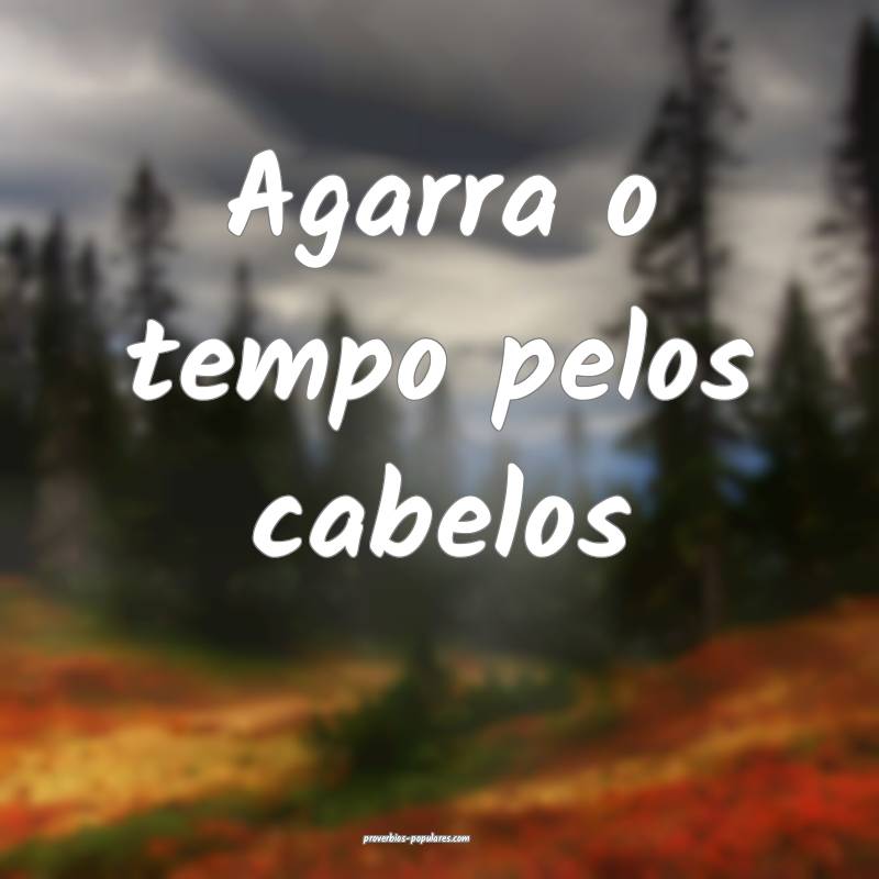 Agarra o tempo pelos cabelos ...