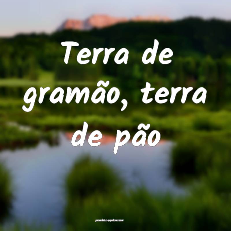 Terra de gramão, terra de pão...