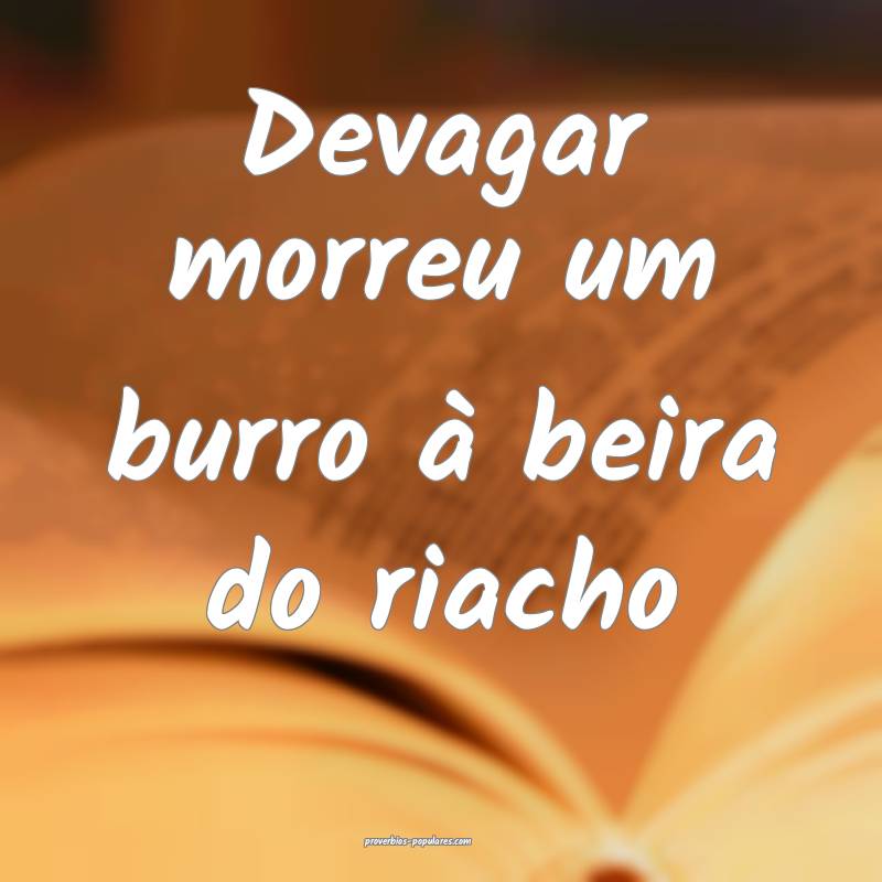 Devagar morreu um burro à beira do riacho...