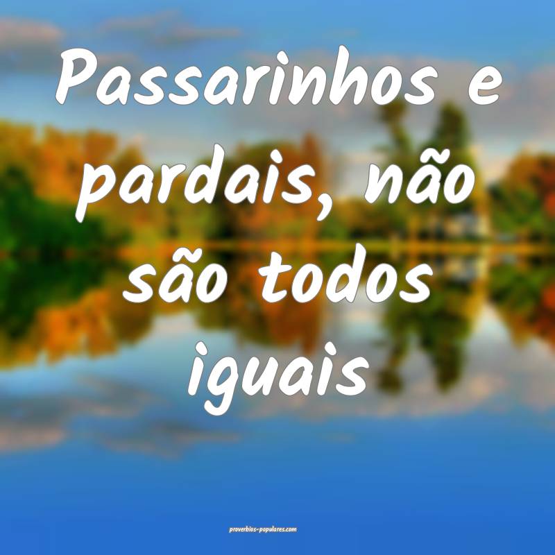 Passarinhos e pardais, não são todos iguais...