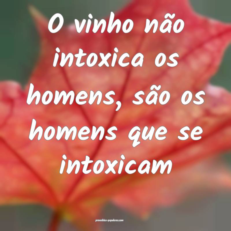 O vinho não intoxica os homens, são os homens que se intoxicam...