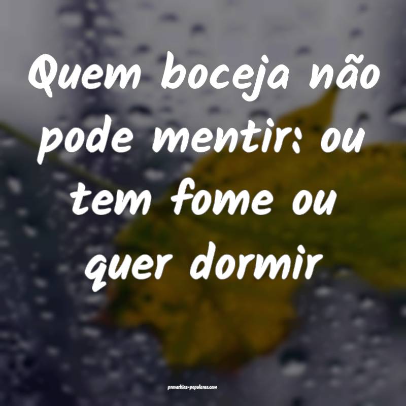 Quem boceja não pode mentir: ou tem fome ou quer dormir...