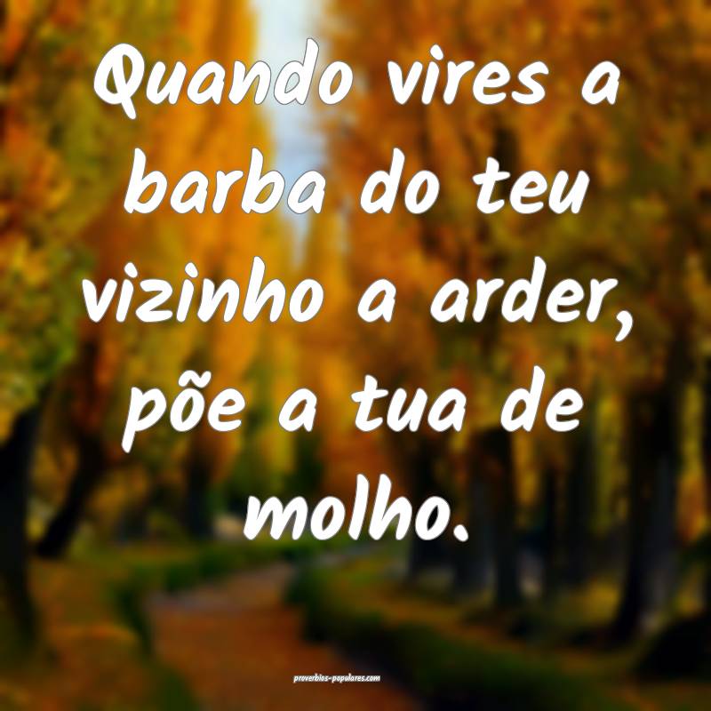 Quando vires a barba do teu vizinho a arder, põe a tua de molho.
...